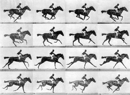 Muybridge race horse gallop